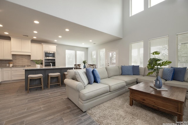 living room with hardwood / wood-style flooring, plenty of natural light, and sink