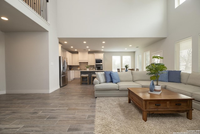 living room with hardwood / wood-style flooring and a high ceiling