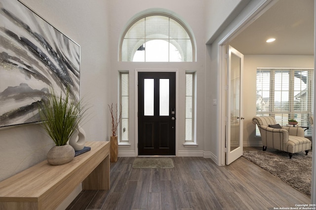 entryway featuring wood-type flooring