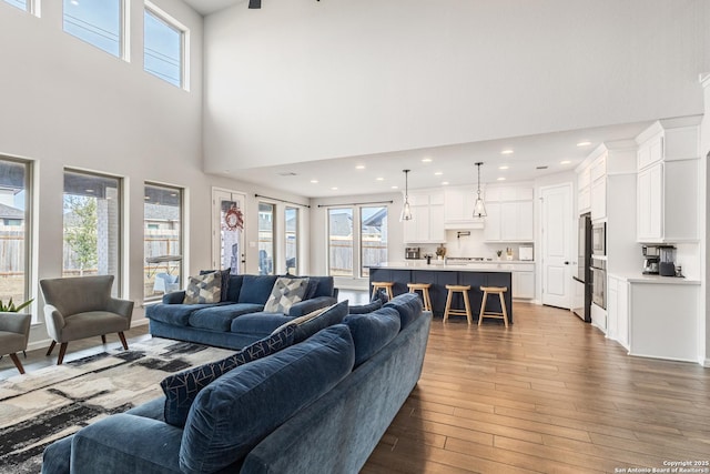 living room with wood-type flooring and a high ceiling