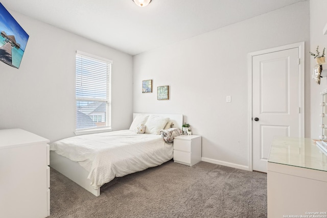 bedroom featuring carpet