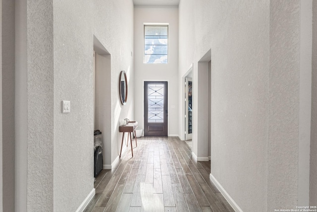 entryway featuring a high ceiling and plenty of natural light