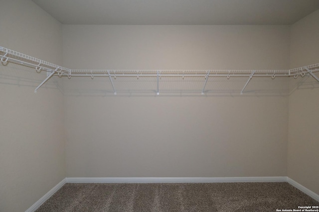 8419 Hamrick Cir, San Antonio, TX 78252 - walk in closet with carpet floors
