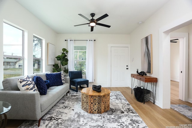 living room featuring ceiling fan and light wood-type flooring