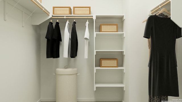 view of spacious closet