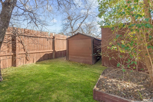 view of yard featuring a shed