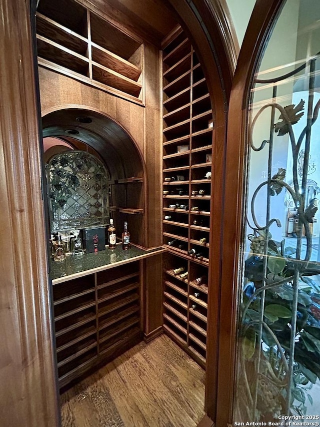 wine area with hardwood / wood-style floors