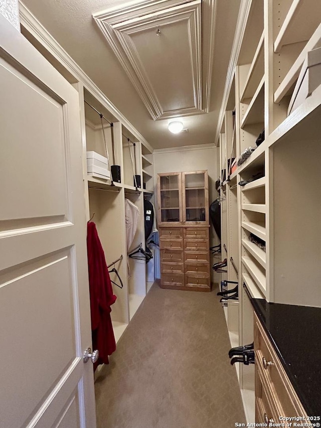 walk in closet featuring light colored carpet