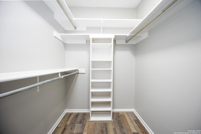 spacious closet with dark hardwood / wood-style floors