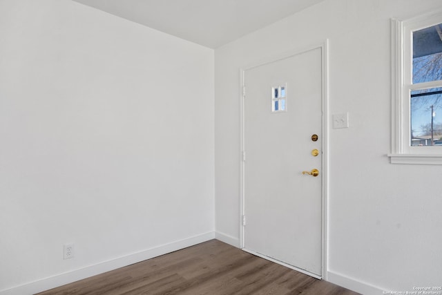 foyer entrance featuring hardwood / wood-style flooring and plenty of natural light