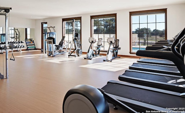 workout area with light hardwood / wood-style flooring and a wealth of natural light