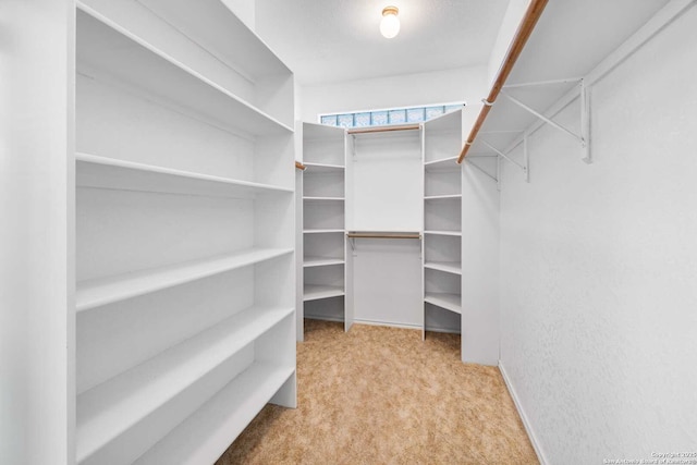 walk in closet featuring light carpet