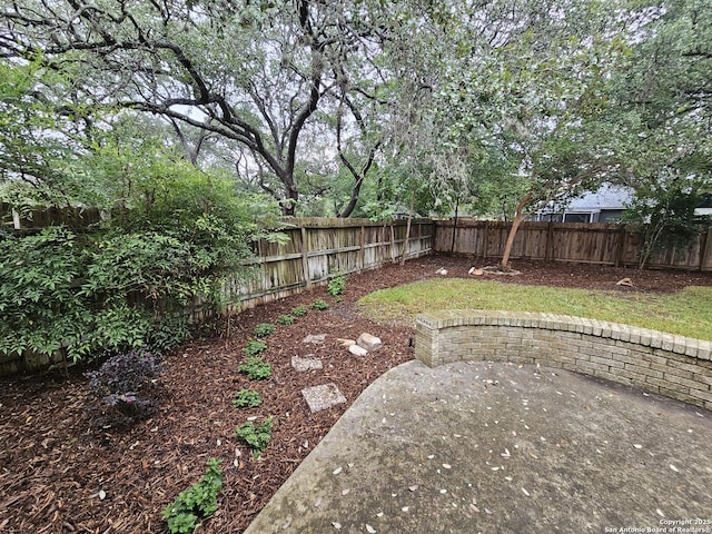 view of yard with a patio