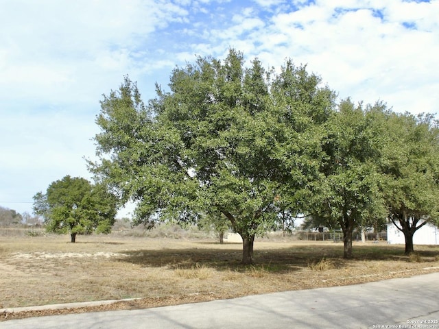 Listing photo 3 for 00 Norvell Rd, Lytle TX 78052