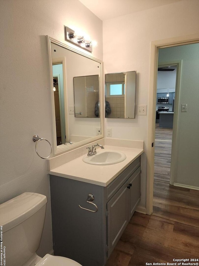 bathroom featuring vanity, toilet, and wood-type flooring