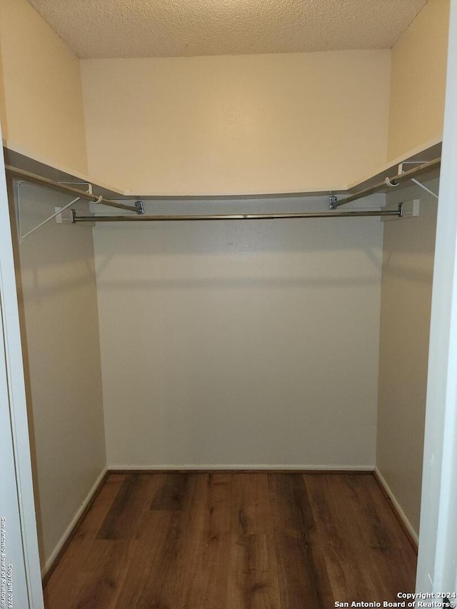 walk in closet featuring dark hardwood / wood-style floors