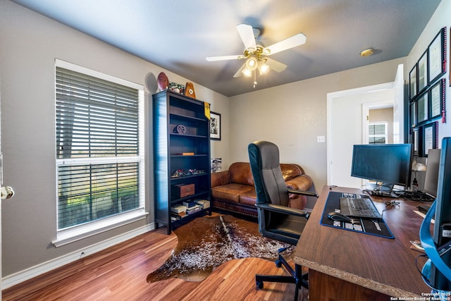 office area featuring ceiling fan and hardwood / wood-style floors