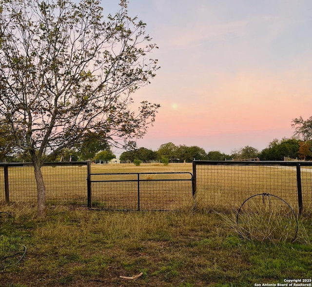 view of yard at dusk