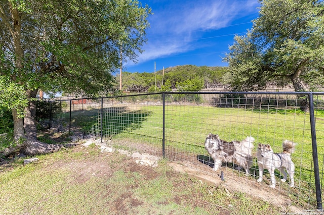 view of yard with a rural view