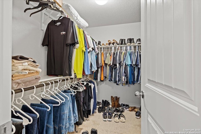 spacious closet featuring carpet flooring