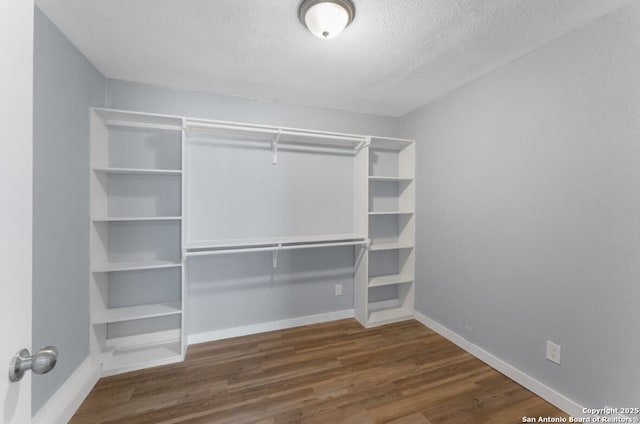 spacious closet with dark wood-type flooring