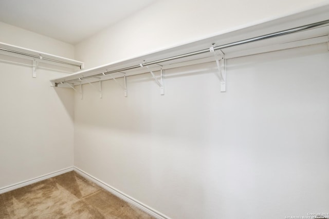 spacious closet with carpet floors