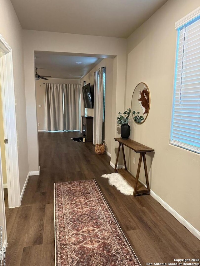 hallway featuring dark hardwood / wood-style floors