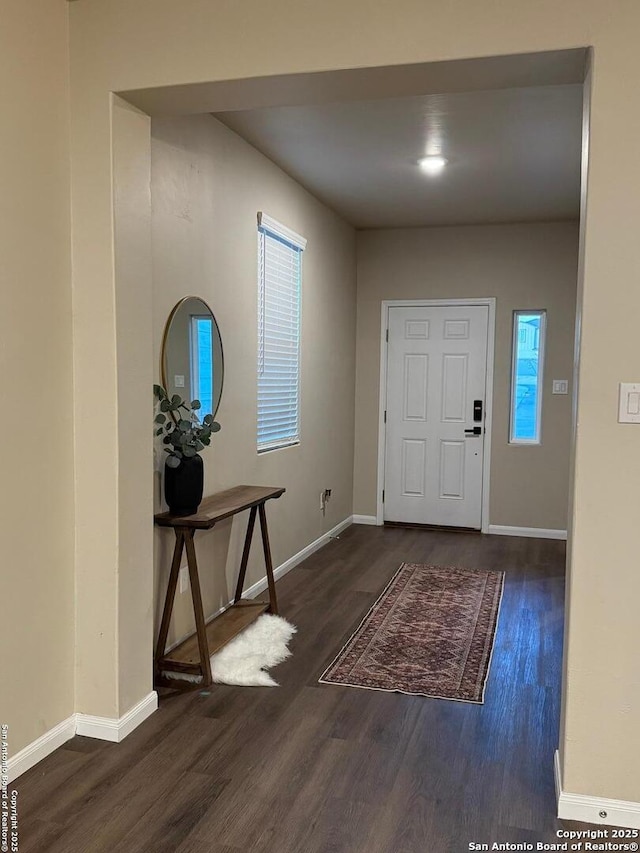 foyer entrance with dark wood-type flooring