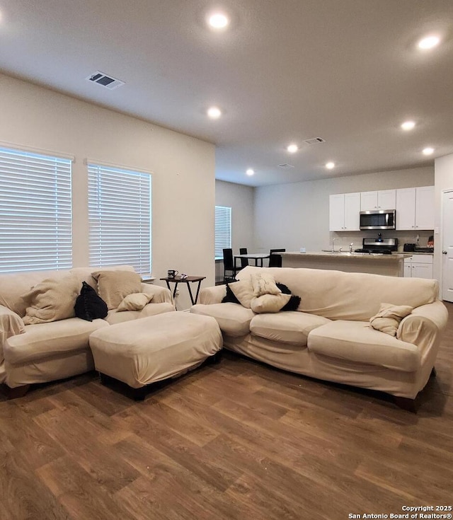 living room with dark wood-type flooring