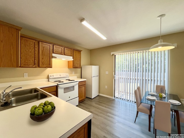 kitchen with pendant lighting, white appliances, light hardwood / wood-style floors, and sink