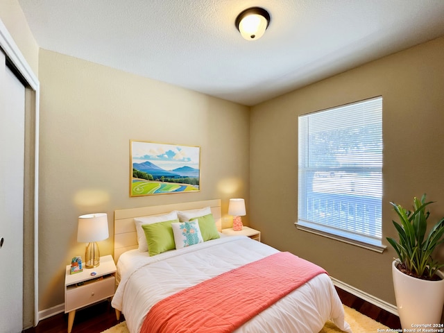 bedroom with hardwood / wood-style floors and a closet