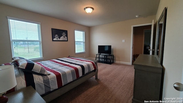 bedroom with carpet