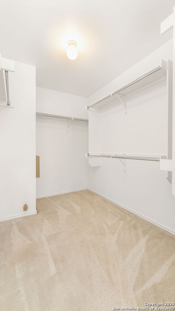 walk in closet featuring light colored carpet