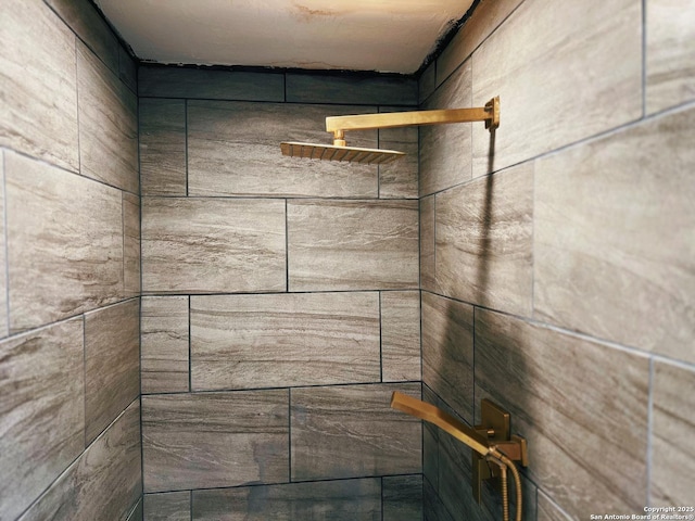 interior details featuring tiled shower