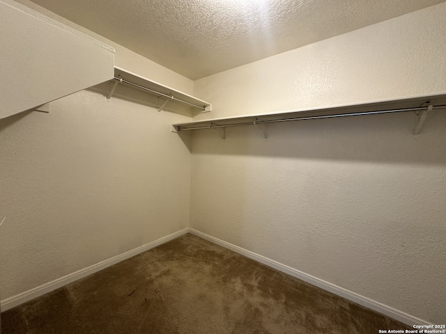 spacious closet featuring carpet