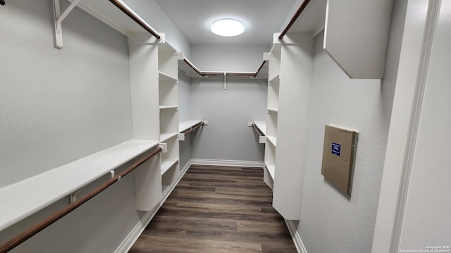 walk in closet with dark wood-type flooring