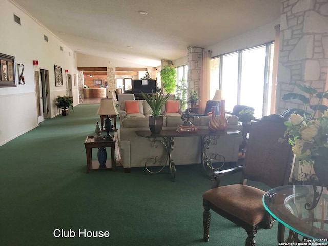 3601 Elm Ct, Schertz, TX 78108 - living room featuring vaulted ceiling and carpet