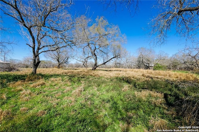 view of nature with a rural view