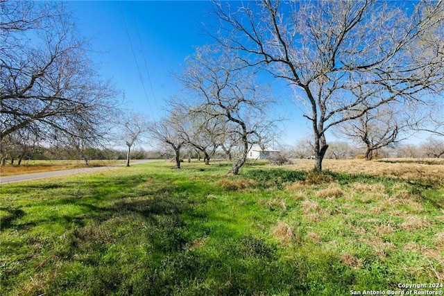 view of yard featuring a rural view