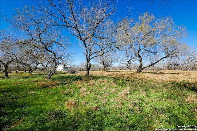 view of nature with a rural view