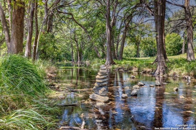 view of water feature