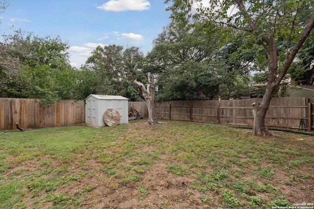 view of yard with a shed