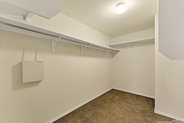 spacious closet featuring dark colored carpet