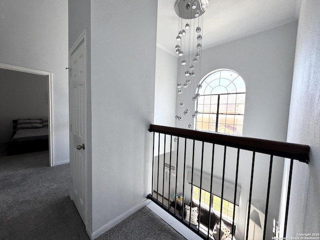 hallway featuring crown molding and carpet