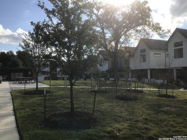 view of home's community with a lawn