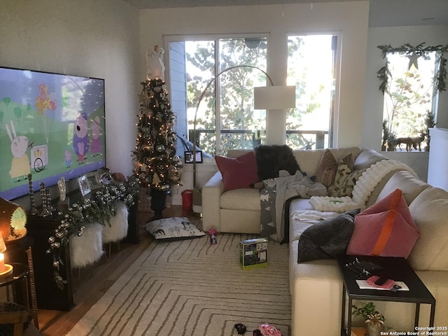 living room with hardwood / wood-style flooring