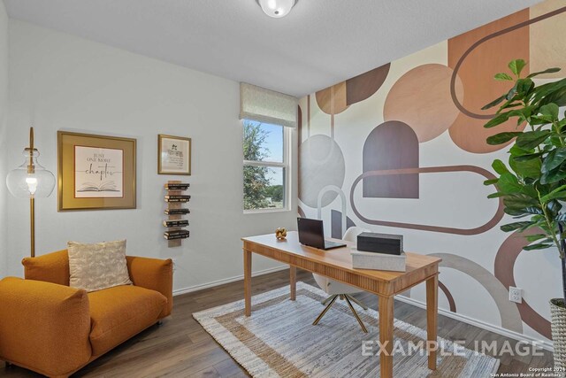 office featuring wood-type flooring