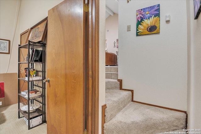 stairway with carpet floors