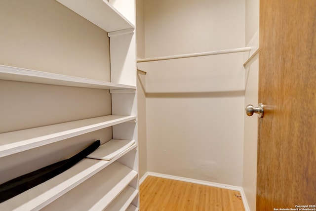 spacious closet featuring wood-type flooring