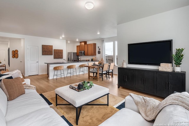 living room featuring light hardwood / wood-style flooring